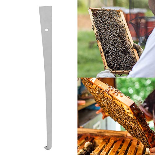 QUALITÄT -EDEL STEEL -BIENESBUCHT -SCHBER -Werkzeug für Bienenstücke und Silberrahmen mit 12,2 Zoll von Haofy