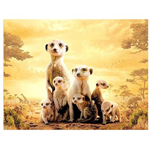 5D DIY Diamond Painting Kits Erdmännchen Familie Quadrat Voll Bohren Kristall Strass Diamant Malerei Kinder Erwachsene Kreuzstich Stickerei Für Home Wall Dekoration Handwerk 25x30cm/10x12in B7270 von Haojeer