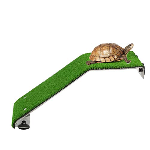 Schildkröte Aalen Plattform Schildkrötenrampe Leiter mit Saugnäpfen Aquarium Wasser Lebensechte Grüne Rasen Ruheterrasse Klettern Ruhe Dock für Reptilien Frosch Pier von Haokaini
