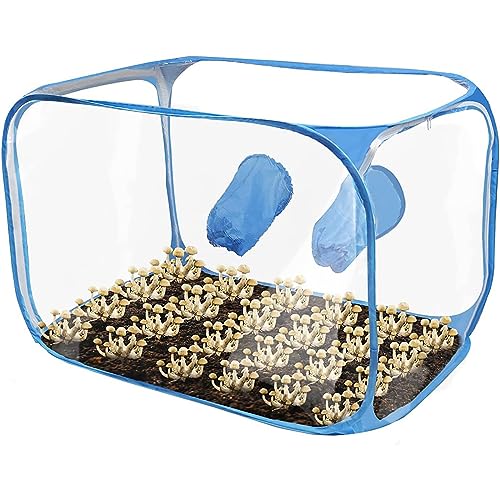 35,8 x 23,2 x 22,8 Zoll Pilzzucht-Stillluftbox Pop-up-Pilzzuchtzelt-Kit Tragbarer Pilzzuchtbehälter für Gartenbaubedarf Blau von Hapihom