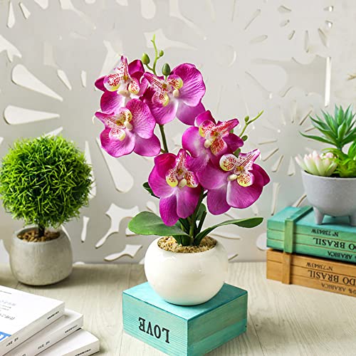 Hapihom Künstliche Phalaenopsis-Blume, fühlt sich echt an, Schmetterlingsorchidee, Topf, Bonsai mit Vase, künstliche Pflanzen für Zuhause, Schlafzimmer, Wohnzimmer, Hochzeit, Party, Dekoration, Lila, von Hapihom