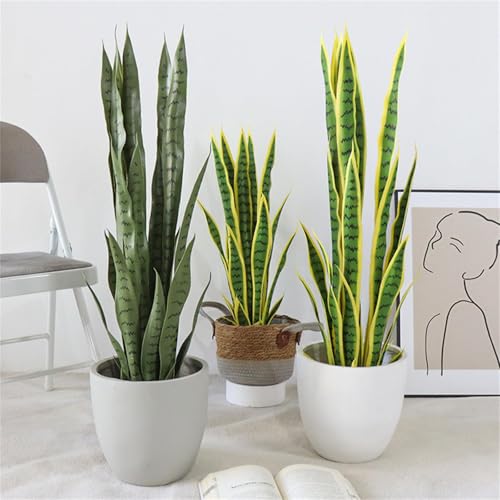 Hapihom Kunstpflanze Sansevieria, 50cm Künstliche Bogenhanf mit stabilem Plastik Topf, Zimmerpflanze Deko Modern für den Heimgarten Bürodekoration Badezimmer Balkon - grün Hapihom Kunstpflanze Sansevieria, 50cm Künstliche Bogenhanf mit stabilem Plastik Topf, Zimmerpflanze Deko Modern für den Heimgarten Bürodekoration Badezimmer Balkon - grün von Hapihom