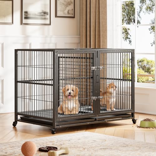 Hundekäfig Hochbelastbar, 121 x 76 x 89cm Hundebox mit Trennwand, 2 in 1 Doppelbox Hundegitterbox mit 3 Türen, 4 Rollen und Bodenschale, Hundekäfig für Kleine Mittlere Große Hunde Hundekäfig Hochbelastbar, 121 x 76 x 89cm Hundebox mit Trennwand, 2 in 1 Doppelbox Hundegitterbox mit 3 Türen, 4 Rollen und Bodenschale, Hundekäfig für Kleine Mittlere Große Hunde von Hapihom