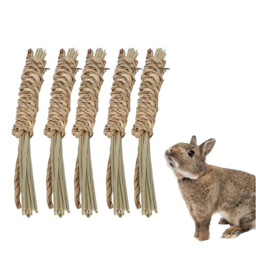 Hapivida 5 Stück Gras-Kauspielzeug, natürliche Seegras-Kausticks kleine Tiere Spielzeug für Chinchilla Eichhörnchen Rennmaus Hamster Eichhörnchen Meerschweinchen(S) von Hapivida