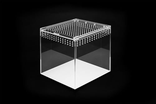 Happet Acryl Terrarium 10.5x8.5x6cm - Transparent 360°, Optimale Belüftung, Magnetverschluß - Ideal für Spinnen, Schnecken, Eidechsen, Kleine Reptile und Insekten (15x15cm) von Happet