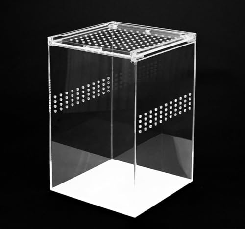 Happet Acryl Terrarium 10.5x8.5x6cm - Transparent 360°, Optimale Belüftung, Magnetverschluß - Ideal für Spinnen, Schnecken, Eidechsen, Kleine Reptile und Insekten (15x15x23cm) von Happet