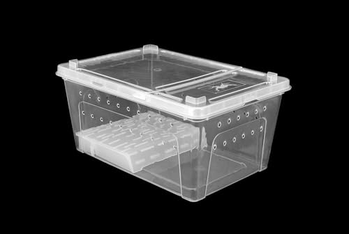 Happet Zuchtbox BREEDING BOX mit Plattform 19 cm - Kunststoffterrarium mit Belüftung und Deckel, ideal für Insekten, Spinnentiere, kleine Reptilien und Amphibien Happet Zuchtbox BREEDING BOX mit Plattform 19 cm - Kunststoffterrarium mit Belüftung und Deckel, ideal für Insekten, Spinnentiere, kleine Reptilien und Amphibien von Happet