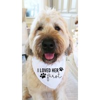 Ich Liebte Sie Zuerst Meine Menschen Heiraten Hundehalstuch Klein Mittel Groß - Verlobungsanzeige Für Haustier Hund Hochzeitsvorschlag Geschenk von HappilyChicDesigns