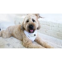 Zum Großen Bruder Schwester Bandana Befördert - Baby Ankündigung Idee Für Hund - Hundehalstuch Große Mittlere Und Kleine Hunde - Schwangerschaft von HappilyChicDesigns