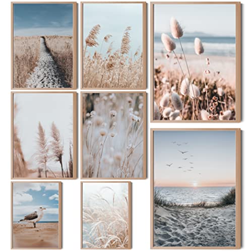 HappyArts® | Premium 8er Poster Set | Bilder Wohnzimmer Deko Schlafzimmer | Meer Strand Natur Pampasgras (ohne Rahmen)… von HappyArts