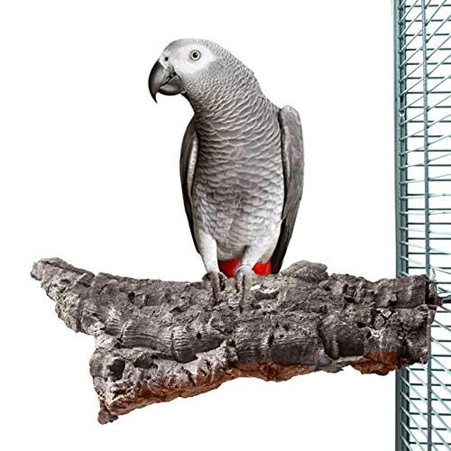 HappyBird | Kork-Sitzbrett XXL für Papageien ca. 25 x 15 cm mit Edelstahlschrauben von HappyBird