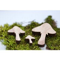 Pilze Holzformen Mix Aus 3 Größen, Bastelpilz Rohlinge, Holz Pilz Stoadstool, Herbst Basteln, Herbstzubehör, Wald Deko von HappyCraftsDIY