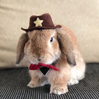 Cowboyhut Für Haustier Hase Und Andere Kleine Haustiere von HappyHoppyStuffs