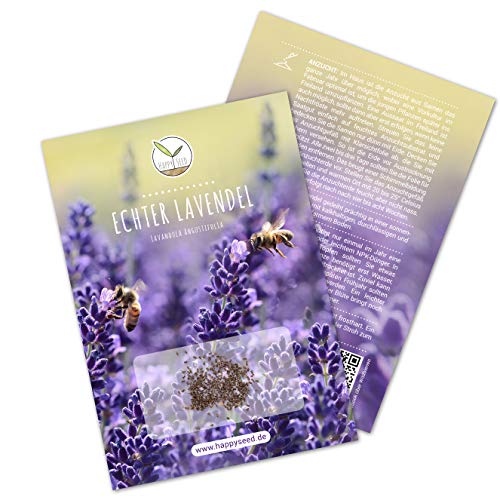 300x Lavendel Samen mit hoher Keimrate - Vielseitig einsetzbare Heilpflanze & ideal für Bienen und Schmetterlinge (inkl. GRATIS eBook) von HappySeed