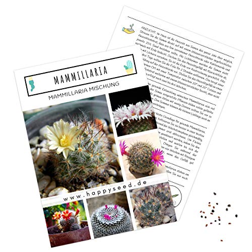 Außergewöhnliche Kakteen Samen mit hoher Keimrate - Sukkulenten Samen Set für deinen eigenen wunderschön blühenden Kaktus (1x Mammillaria) von HappySeed