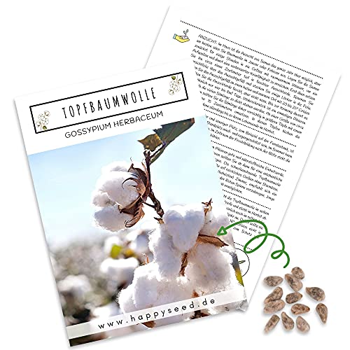 Baumwollsamen (Gossypium Herbaceum) mit hoher Keimrate - Baumwolle Samen für vielblütige & weiche Baumwollpflanze von HappySeed