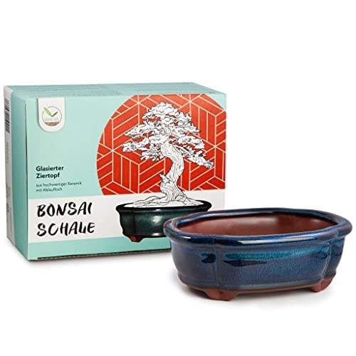 HappySeed Bonsai Schale Keramik (klein) in Marineblau - Bonsai Topf abgerundet für die perfekte Inszenierung Ihres Zimmerbonsais - 15 x 5,5 x 11 cm von HappySeed
