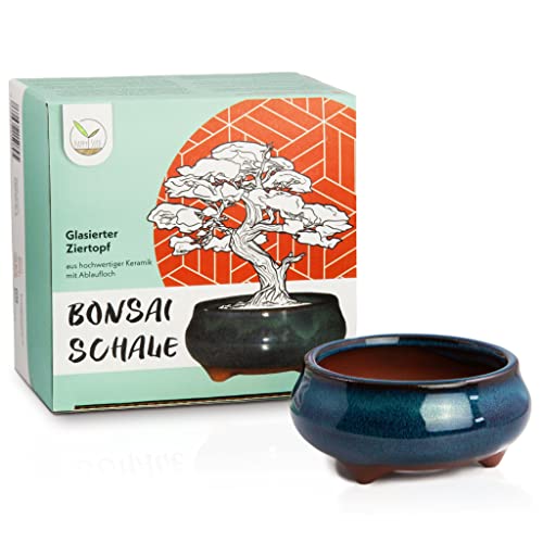 Bonsai Schale Keramik (klein) in Marineblau - Bonsai Topf rund für die perfekte Inszenierung Ihres Zimmerbonsais - 9 x 4,5 x 9 cm von HappySeed