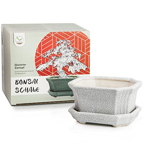 HappySeed Bonsai Schale Keramik (klein) mit Untersetzer in Grau - Bonsai Topf eckig für die perfekte Inszenierung Ihres Zimmerbonsais - 11 x 6,5 x 9 cm von HappySeed
