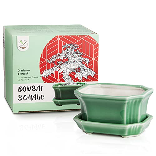 Bonsai Schale Keramik (klein) mit Untersetzer in Jadegrün - Bonsai Topf eckig für die perfekte Inszenierung Ihres Zimmerbonsais - 11 x 6,5 x 9 cm von HappySeed