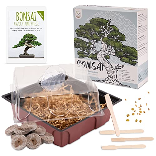 Bonsai Starter Kit Anzuchtset inkl. GRATIS eBook - Pflanzset aus Mini-Gewächshaus, Samen & Erde - nachhaltige Geschenkidee für Pflanzenfreunde (Samen: Afrikanischer Blauregen + Zwerg-Granatapfel) von HappySeed