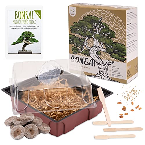 Bonsai Starter Kit Anzuchtset inkl. GRATIS eBook - Pflanzset aus Mini-Gewächshaus, Samen & Erde - nachhaltige Geschenkidee für Pflanzenfreunde (Samen: Ölbaum + Australische Kiefer) von HappySeed