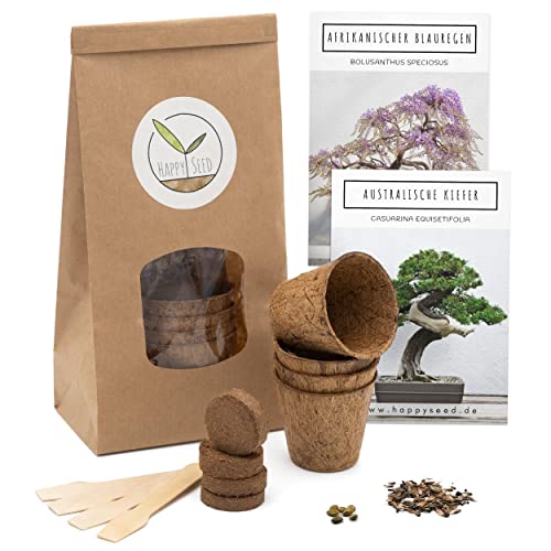 Bonsai Starter Kit Anzuchtset inkl. eBook - Pflanzset aus Kokostöpfen, Samen & Erde - nachhaltige Geschenkidee für Pflanzenfreunde (Afrikanischer Blauregen + Australische Kiefer) von HappySeed