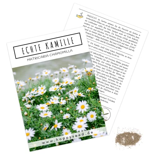 Echte Kamille Samen (Matricaria chamomilla) - Krautige, vielseitige Heilpflanze oder als Beimischung für eine bunte Blumenwiese von HappySeed