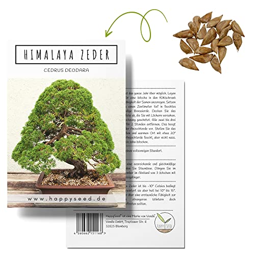 Einzigartige Bonsai Samen mit hoher Keimrate - Pflanzen Samen Set für deinen eigenen Bonsai Baum (1x Himalaya Zeder) von HappySeed