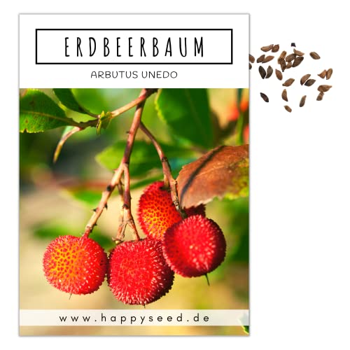 Erdbeerbaum Samen (Arbutus unedo) - Immergrüner Obstbaum mit exotischen Früchten und wunderschönen Blüten von HappySeed