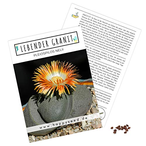 Exotische Kakteen Samen mit hoher Keimrate - Sukkulenten Samen Set für deinen eigenen wunderschön blühenden Kaktus (1x Lebender Granit) von HappySeed