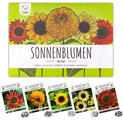 Farbenfrohe Sonnenblumen Samen mit hoher Keimrate - Blumensamen für einen bunten & bienenfreundlichen Garten (5er Set, je 20 Korn) von HappySeed