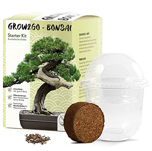 HappySeed GROW2GO Bonsai Starter Kit Anzuchtset - Pflanzset aus Mini-Gewächshaus, Samen & Erde - nachhaltige Geschenkidee für Pflanzenfreunde (Australische Kiefer) von HappySeed