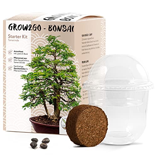 GROW2GO Bonsai Starter Kit Anzuchtset - Pflanzset aus Mini-Gewächshaus, Samen & Erde - nachhaltige Geschenkidee für Pflanzenfreunde (Tamarinde) von HappySeed