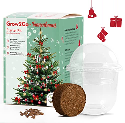 GROW2GO Dein eigener Weihnachtsbaum zum selber Pflanzen - Starter Kit Anzuchtset aus Mini-Gewächshaus, Nordmanntanne Samen & Erde von HappySeed