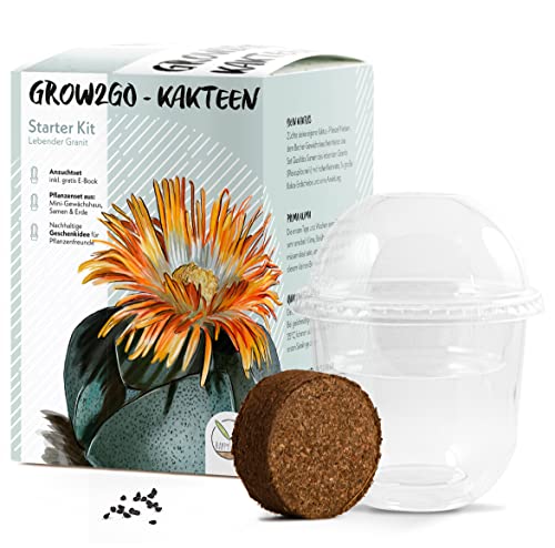 GROW2GO Kakteen Starter Kit Anzuchtset - Pflanzset aus Mini-Gewächshaus, Kaktus Samen & Erde - nachhaltige Geschenkidee für Pflanzenfreunde (Lebender Granit) von HappySeed