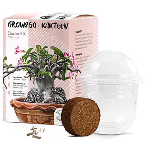 GROW2GO Kakteen Starter Kit Anzuchtset - Pflanzset aus Mini-Gewächshaus, Kaktus Samen & Erde - nachhaltige Geschenkidee für Pflanzenfreunde (Wüstenrose) von HappySeed