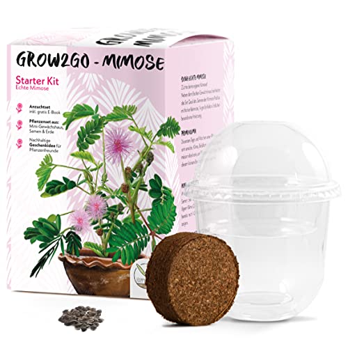 GROW2GO Mimose Starter Kit Anzuchtset - Pflanzset aus Mini-Gewächshaus, Mimose Samen & Erde - nachhaltige Geschenkidee für Pflanzenfreunde von HappySeed