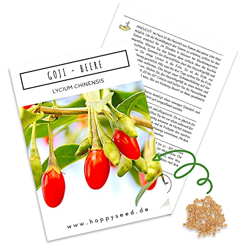 Goji Beeren Samen (Lycium chinense) - Vitaminreiche, rote Wolfsbeeren ideal für die Anzucht im Garten, Balkon oder Terrasse von HappySeed