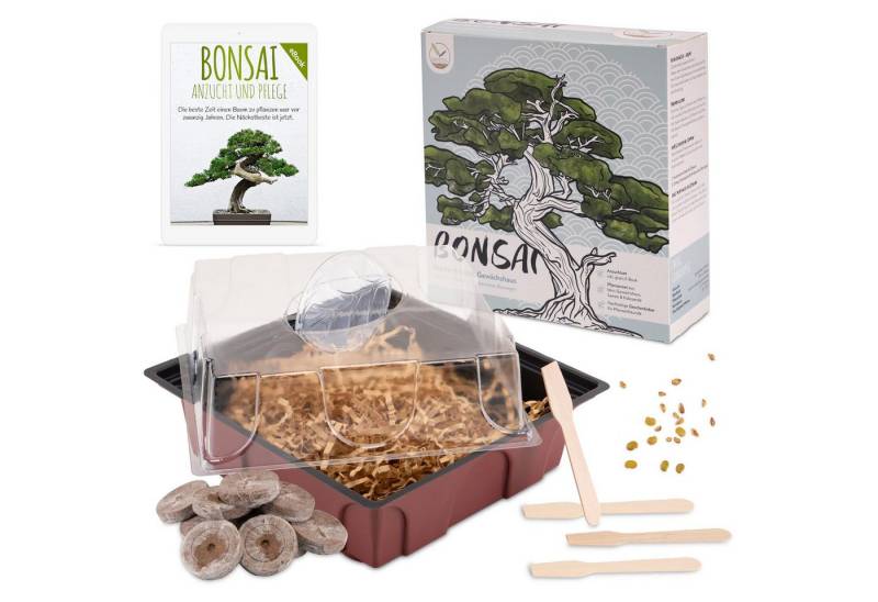 HappySeed Blumensamen Bonsai Starter Kit inkl. eBook (Afr. Blauregen + Zwerg-Granatapfel) von HappySeed