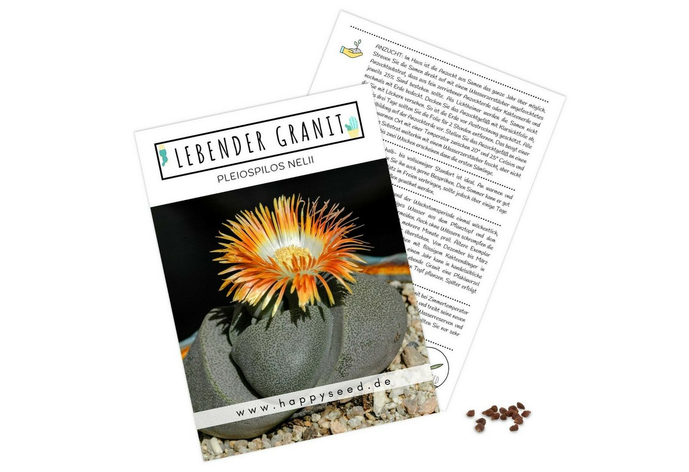 HappySeed Blumensamen Exotische Kakteen Samen mit hoher Keimrate -Lebender Granit, Kakteen HappySeed Blumensamen Exotische Kakteen Samen mit hoher Keimrate -Lebender Granit, Kakteen von HappySeed