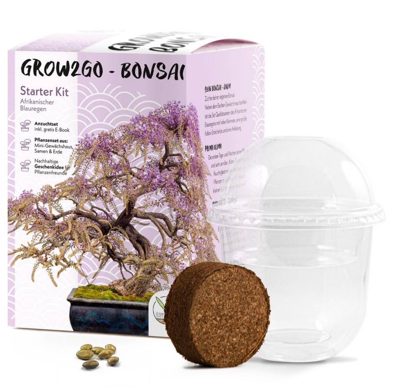 HappySeed Blumensamen GROW2GO Bonsai Starter Kit inkl. eBook - Afrikanischer Blauregen, Bonsai von HappySeed
