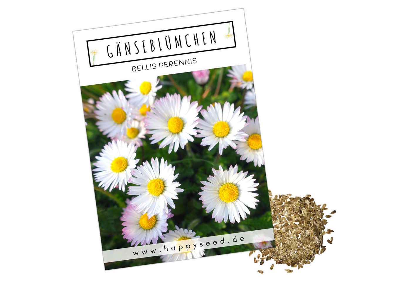 HappySeed Blumensamen Gänseblümchen Samen - Bellis perennis, Blumen HappySeed Blumensamen Gänseblümchen Samen - Bellis perennis, Blumen von HappySeed
