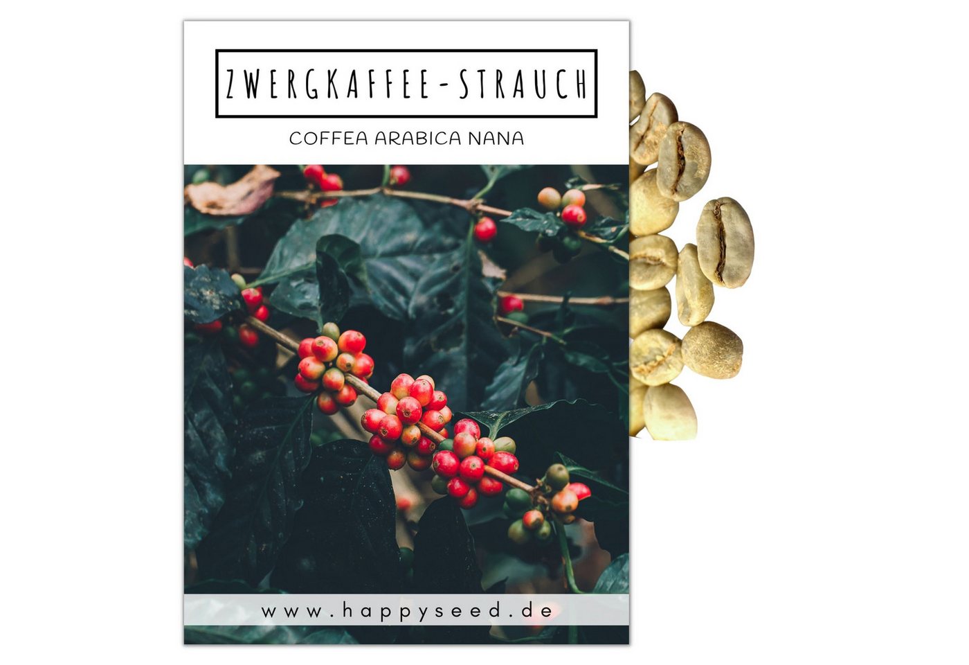 HappySeed Blumensamen Kaffee Samen - Coffea arabica nana, Blumen HappySeed Blumensamen Kaffee Samen - Coffea arabica nana, Blumen von HappySeed
