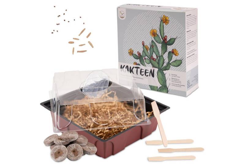 HappySeed Blumensamen Kakteen Starter Kit - Gewächshaus & Samen (Wüstenrose + Leb. Granit), Kakteen von HappySeed