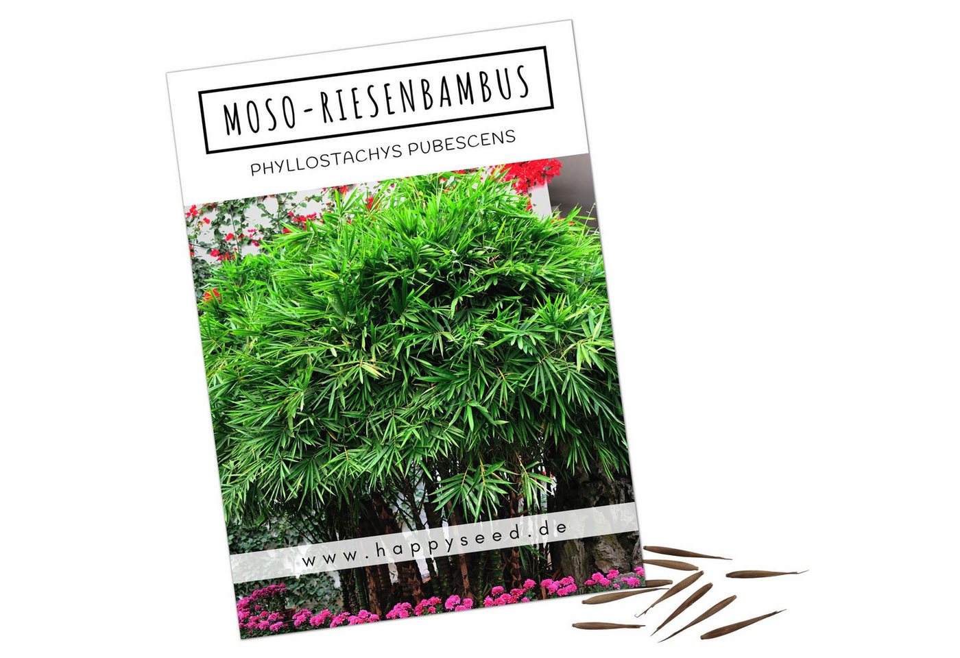 HappySeed Blumensamen Moso Riesenbambus Samen - Phyllostachys pubescens, Bambus HappySeed Blumensamen Moso Riesenbambus Samen - Phyllostachys pubescens, Bambus von HappySeed