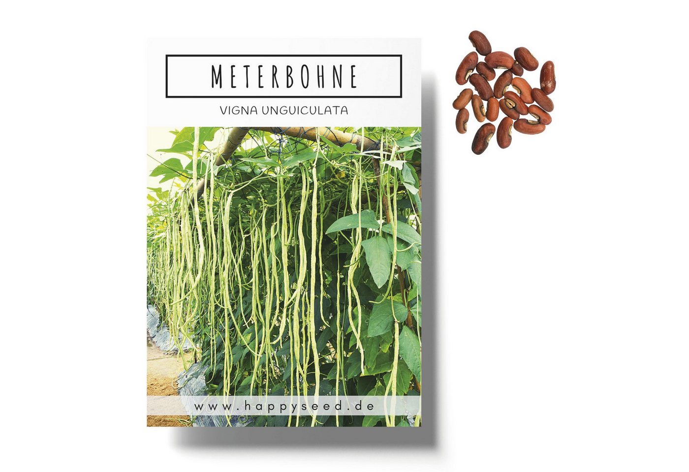 HappySeed Gemüsesamen Meterbohne Samen - Vigna unguiculata, Blumen HappySeed Gemüsesamen Meterbohne Samen - Vigna unguiculata, Blumen von HappySeed
