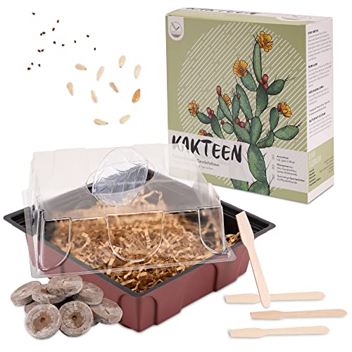 Kakteen Starter Kit Anzuchtset - Pflanzset aus Mini-Gewächshaus, Kaktus Samen & Erde - nachhaltige Geschenkidee für Pflanzenfreunde (Samen: Madagascar Palme + Echter Tigerrachen) von HappySeed