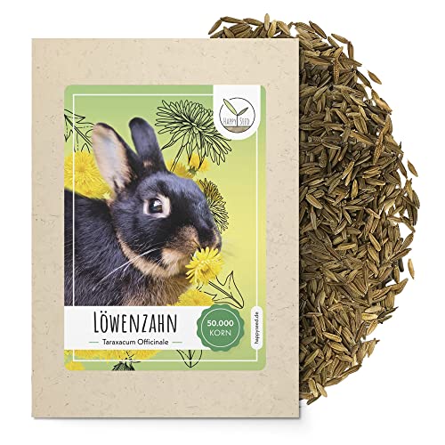 Löwenzahn Samen für Kaninchen - Wildkräuter Saatgut als optimale Futterergänzung für Kaninchen, Meerschweinchen und Schildkröten (50.000 Samen) von HappySeed