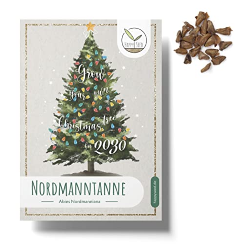 Nordmanntanne Samen (20x Stück) - Dein eigener Weihnachtsbaum zum selber Pflanzen als ideales Wichtelgeschenk von HappySeed